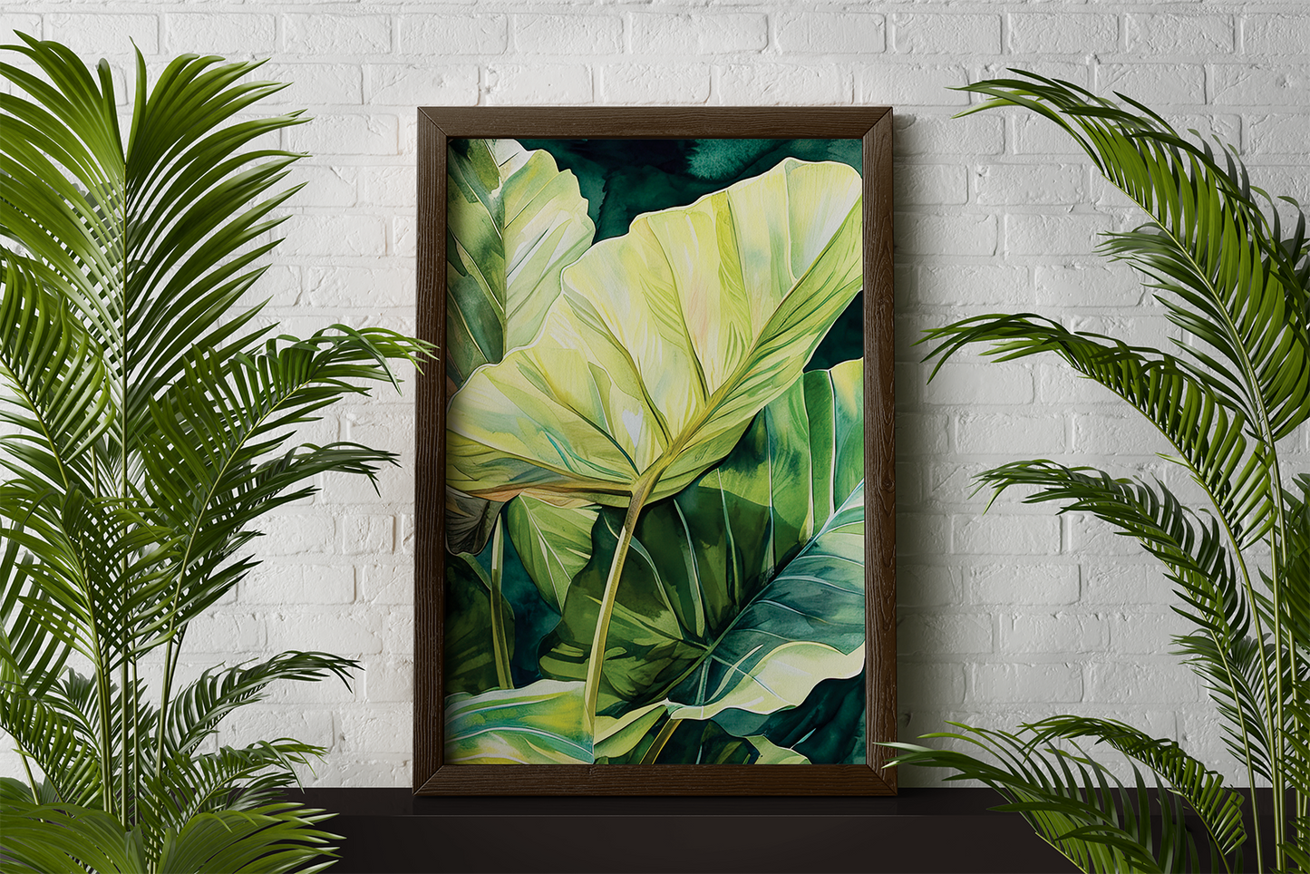 Look at Me Colocasia (Zoomed)