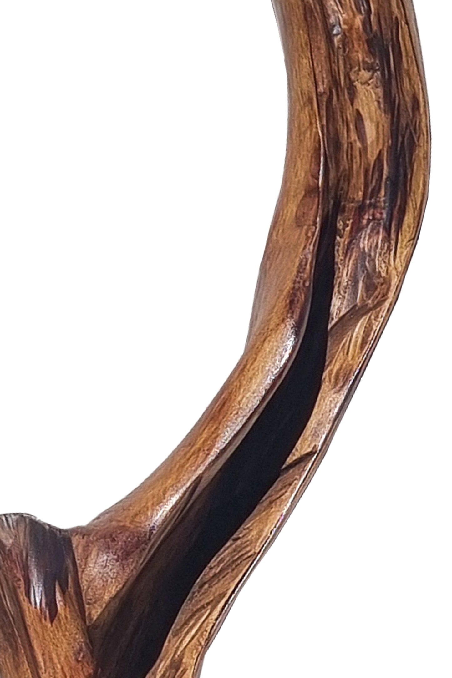 Native Timber Moss Pole for Climbing Plants - Medium