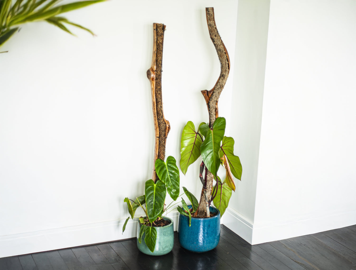 Natural Wooden Plant Totem Brisbane