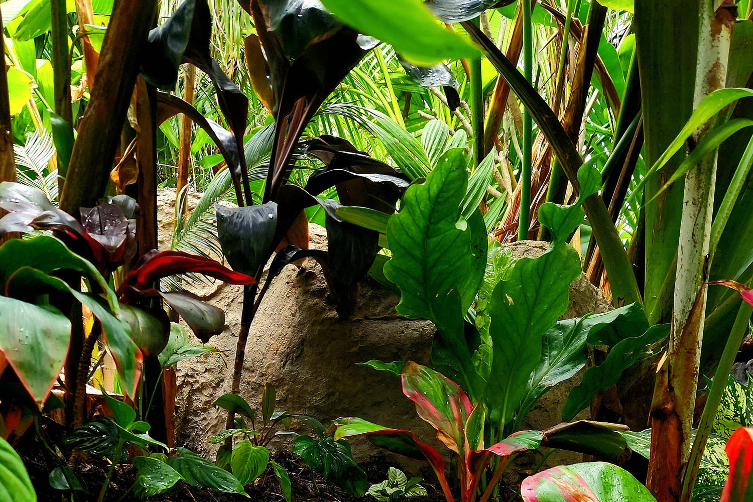 Handcrafted Rock Custom Garden